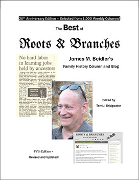 Best Of Roots & Branches